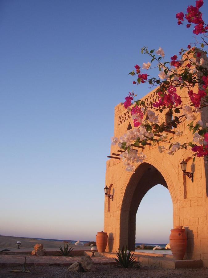 Marsa Shagra Village Abu Dabab Exterior photo